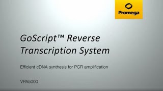 GoScript™ Reverse Transcription System [upl. by Gold318]