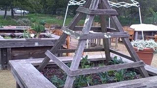 Accessible Raised Bed Garden for Seniors allow them to Grow Food [upl. by Cira]