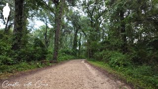 Miccosukee Greenway Trail  Tallahassee FL  Part 1  The Poetry of Branches Reaching For The Sky [upl. by Stacy]