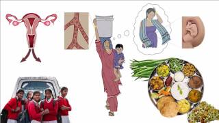 Iron Deficiency Anemia Hindi [upl. by Ellenehc]