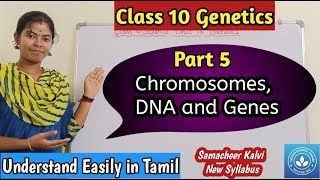 Chromosomes DNA and Genes Class 10 Science Unit 18 Genetics [upl. by Venu243]