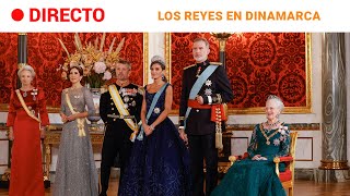 CASA REAL Los REYES en la CENA de GALA de MARGARITA de DINAMARCA  RTVE Noticias [upl. by Schmitt]