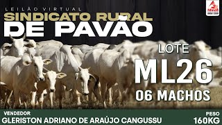 LOTE ML26  06 MACHOS PESO 160 Kg [upl. by Arammat]