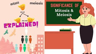 SIGNIFICANCE OF MITOSIS AND MEIOSIS EXPLAINED [upl. by Daffy]