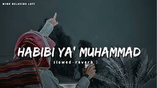 Habibi Ya Muhammad✨ slowed reverb Beautiful Nasheed Naat l Lofi Version l Mind Relaxing Naat [upl. by Latreese]