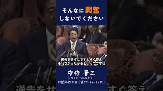 【そんなに興奮しないでください】quot安倍総理の冷静なメッセージ：興奮しないでください 安倍総理政治リーダーシップ冷静な判断安定性国民へのメッセージ安倍政権 [upl. by Brandenburg]