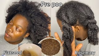 Prepoo Routine For Natural Hair [upl. by Antsirhc64]