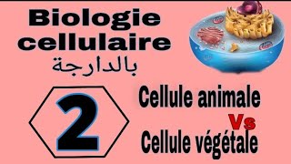 شرح بالدارجةلأول درس بمادة Biologie cellulaire s1 L1Snv سنة الأولى تخصص بيولوجي الجزء الثاني [upl. by Jamil]