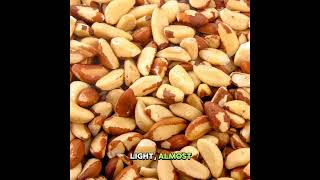 What Are Brazil Nuts brazilnut [upl. by Asim]