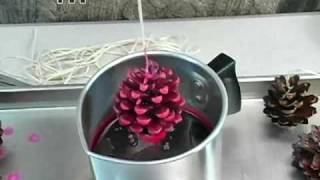 How to Pine Cone Fire Starters [upl. by Lj]