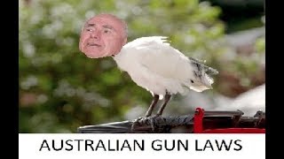 Australian Gun Laws Explained [upl. by Cynera]