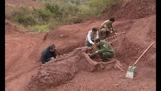 180 mlnyearold dinosaur fossils discovered in SW China [upl. by Ahsemrak762]