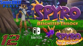 Sunrise Spring  Spyro Reignited Trilogy Switch Part 12  Spyro Year of the Dragon Start [upl. by Warram]