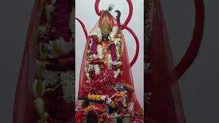 Kali Mai Kali Mai song kalipuja काली मां पूजा 🙏shorts ytviral kalimaakalimatamahakali love [upl. by Colman]