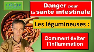 Digestion difficile et problème aux Intestins  pourquoi et comment TOUJOURS cuire les légumineuses [upl. by Crandale]