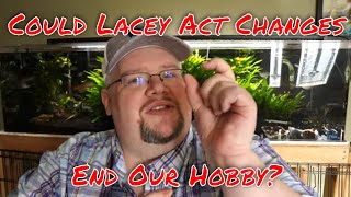 Could This End the Fish Hobby as We Know It Why the Lacey Act Matters [upl. by Gallenz]