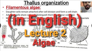 Algae Lecture 2  Thallus Organisation [upl. by Akimit]