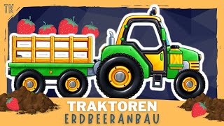 Traktor amp Trecker ⭐ Erdbeeranbau  Kindervideos  Kinderfilme  telekids [upl. by Hairej298]