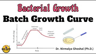 Phases of Bacterial Growth Curve microbiology growth bacteriology [upl. by Warp]