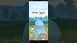 Great League Toxic Bastiodon Quagsire Azumarill pokemongo youtubeshorts youtube tiktok [upl. by Odine]