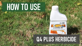 How to Use Q4 Plus Turf Herbicide DIY Grassy amp Broadleaf Weed Control [upl. by Nieberg]