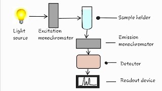 Fluroscence spectroscopy  flurometry spectroflurometry [upl. by Ib342]