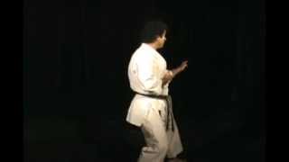 Heian Nidan Kata  Shotokan Karate [upl. by Dranoel834]