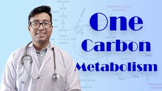 One Carbon Metabolism made easy for Medicos [upl. by Drusilla993]