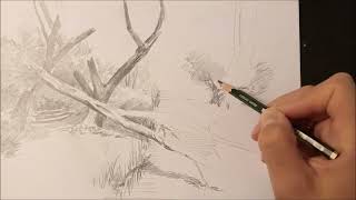 Deep Forest Quick sketch with pencil  space3art4 [upl. by Chaffin]