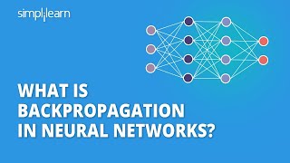 Backpropagation in Neural Networks  Back Propagation Algorithm with Examples  Simplilearn [upl. by Amilb757]