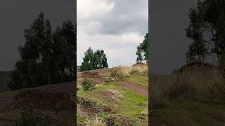 práctica de salto downhill ✌️👍ruta yuncaypata cusco [upl. by Emilio75]