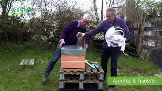 Quel MATÉRIEL pour DÉMARRER une RUCHE au JARDIN  🐝 [upl. by Sidnac859]