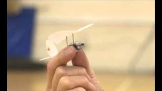 Worlds Smallest Radio Controlled Model Plane [upl. by Eveneg460]