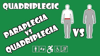 Paraplegia vs Quadriplegia Explained  Quadriplegic C5C6C7 [upl. by Haerle580]