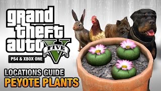 GTA 5  Peyote Plants Location Guide Play as an Animal [upl. by Zetrom]