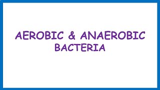 Aerobic amp Anaerobic Bacteria Lecture [upl. by Pansir338]