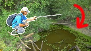 MICROSCOPIC Hook Challenge HIDDEN POND [upl. by Ul]