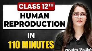 HUMAN REPRODUCTION in 110 Minutes Biology Chapter 3  Full Chapter Revision  Class 12th [upl. by Treiber]