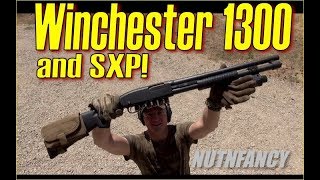 Worlds Best Pump Shotgun Winchester 1300 and SXP [upl. by Runstadler]