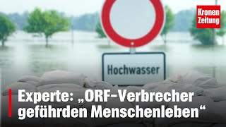 Experte „ORFVerbrecher gefährden Menschenleben“  kronetv NEWS [upl. by Danziger594]