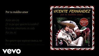 VICENTE FERNANDEZ MEJORES CANCIONES  VICENTE FERNANDEZ 20 GRANDES ÉXITOS MIX [upl. by Piks705]