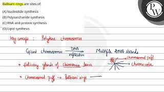 Balbiani rings are sites of [upl. by Renata]