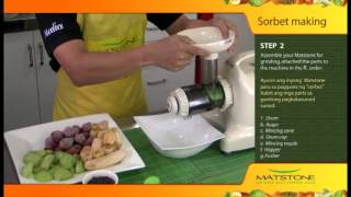 Matstone 8in1 Slow Juicer Sorbet Making [upl. by Arorua]