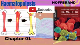 HematopoiesisHoffbrand  Hamatology lecture 1 [upl. by Aisatsan]