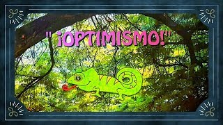 quotOPTIMISMOquot CUENTO 6  ENSEÑA OPTIMISMO A LOS NIÑOS LOS TITIS [upl. by Jemmy]