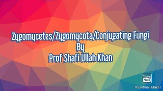 Zygomycota\Conjugating Fungi\TermsVideo Lectured by Prof Shafi Ullah Khan Muzaffargarh [upl. by Lebanna]