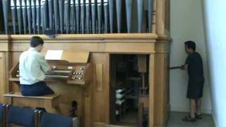 Handpumped Pipe Organ [upl. by Mossberg]