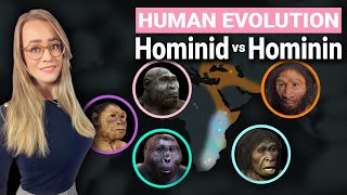 Human Evolution Explained  Hominid amp Hominin Difference [upl. by Nyliac373]