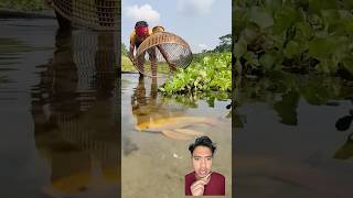 TANGKAP IKAN fishing villagelife fishingtips ngeshortsdulu [upl. by Eemyaj]