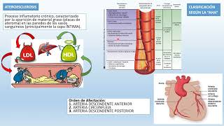 ❤❤Resumen completo de CARDIOPATIA ISQUÉMICA  ANGINA  INFARTO AGUDO MIOCARDIO IAM [upl. by Eibmab]